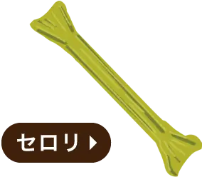 セロリ・骨