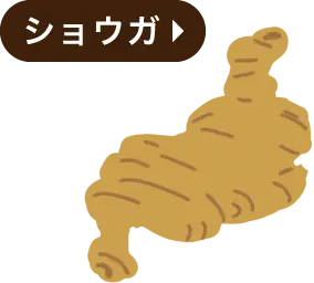 ショウガ・胃