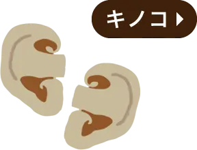 キノコ・耳