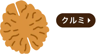 クルミ・脳