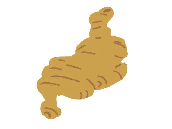 ショウガ・胃